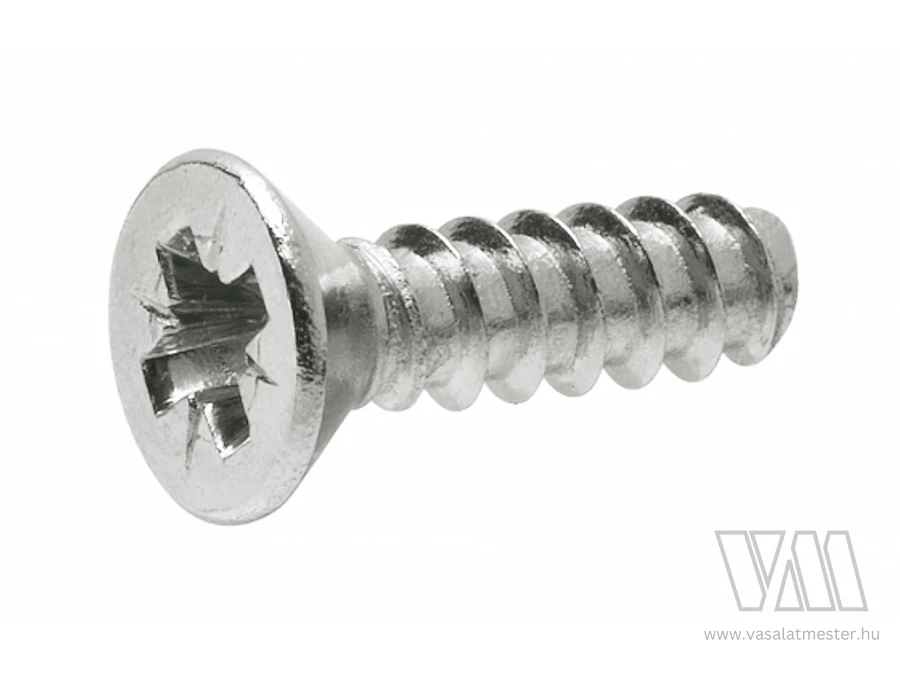 BL 621.1300 csavar 4.8x13mm tiplihez Expando